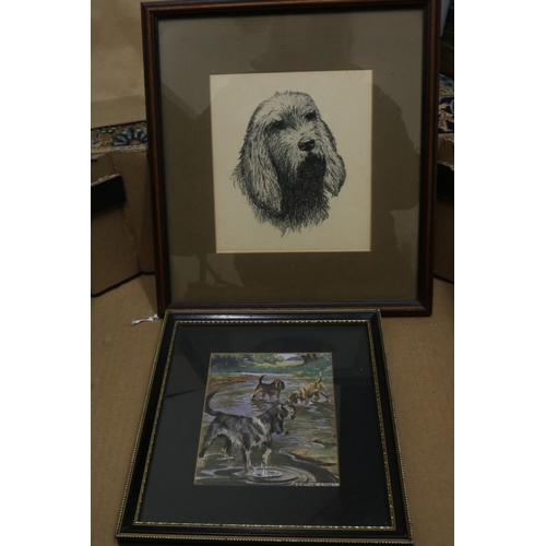 646 - Collection of Prints and framed Cigarette Cards of Otter Hounds and Water Spaniels by Vernon Stokes,... 