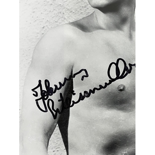 363 - Photo of Johnny Weismuller, 20.5cm x 25cm, with signature, with Certificate of Authenticity from Her... 