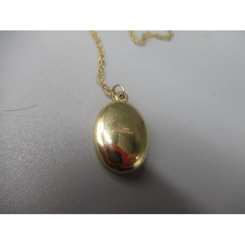 65 - 9ct yellow gold locket on 9ct gold chain, both stamped 375 or 9ct, a 9ct yellow gold horse necklace ... 