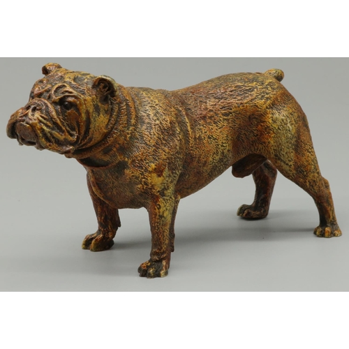 1274 - Geschutzt painted bronze model of a standing bulldog, with makers roundal, L13cm