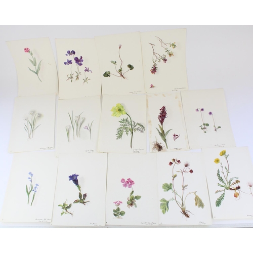 1373 - Mary Beatrice (Br. 1865-1928); C19th booklet of loose botanical watercolours, all titled and dated i... 