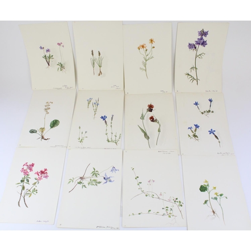 1373 - Mary Beatrice (Br. 1865-1928); C19th booklet of loose botanical watercolours, all titled and dated i... 