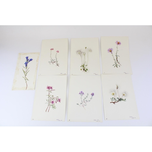 1373 - Mary Beatrice (Br. 1865-1928); C19th booklet of loose botanical watercolours, all titled and dated i... 