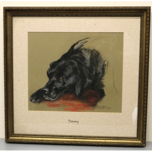 1380 - Truda Panet (American C20th); 'Timmy' head of a reclining black Labrador, pastel, signed, titled and... 