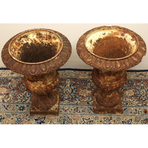 1454 - Pair of cast metal part lobed garden urns on square bases, W35cm H45cm (2)