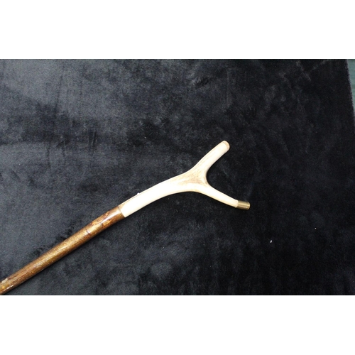 1105 - Walking thumb stick with hazel shank and antler 'thumb' L140cm