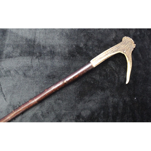 1106 - Walking stick with cherry shank and red deer antler crook, L136cm