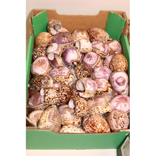 143 - Large collection of carved souvenir Cowrie shells (4 boxes)