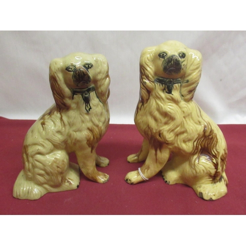 368 - Pair of C19th Staffordshire brown glazed hollow models of Spaniels with black muzzles and collars, H... 