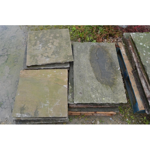 1317 - Five pallets of Indian flagstone slabs. 2 sizes, 85x56cm and 56x56cm