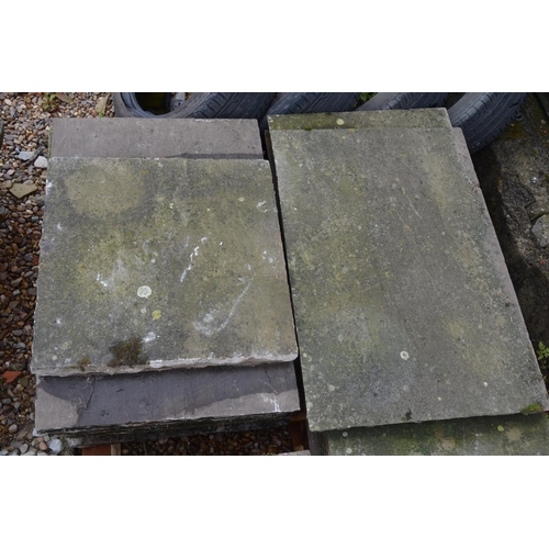 1317 - Five pallets of Indian flagstone slabs. 2 sizes, 85x56cm and 56x56cm