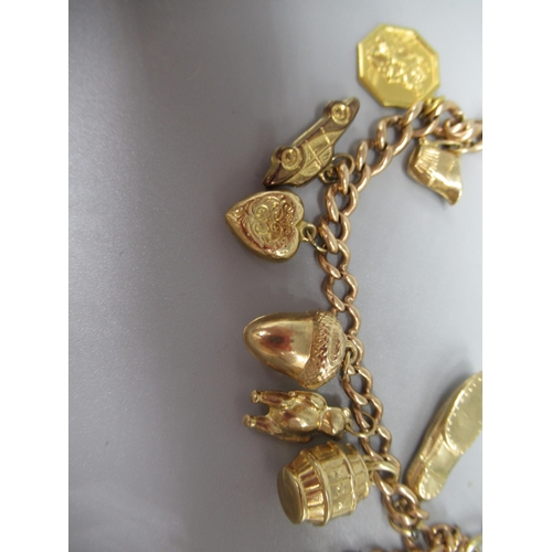1 - 9ct yellow gold charm bracelet with heart padlock clasp, set with twelve 9ct yellow gold and two yel... 
