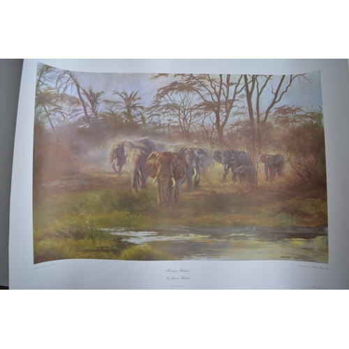 726 - Large collection of posters, various subjects to include Spencer Roberts wildlife prints, Waterman p... 