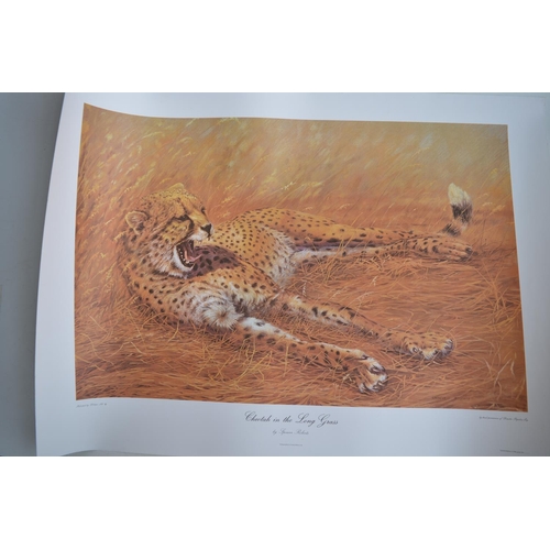 726 - Large collection of posters, various subjects to include Spencer Roberts wildlife prints, Waterman p... 