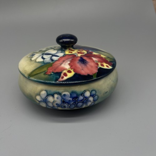 203 - Moorcroft Pottery: Orchid pattern trinket pot and cover, D11cm