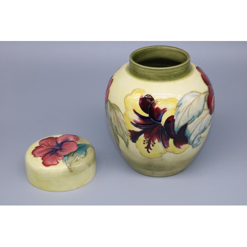 1151 - Moorcroft Pottery: Hibiscus pattern ginger jar and cover, tubelined decoration of yellow and burgund... 