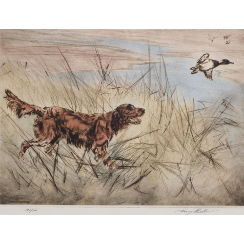 1282 - Henry Wilkinson (British 1921-2011); Red Setter putting up a duck, limited edition coloured etching ... 