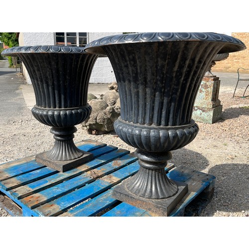 1388 - Pair of large cast iron Campana shaped garden urns on square bases, D72cm H80cm (2)