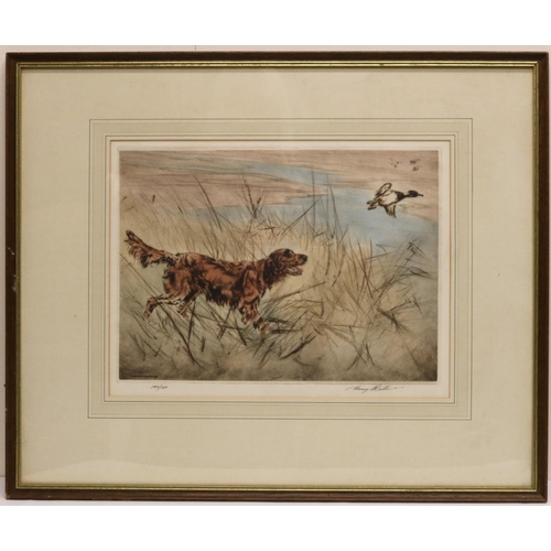 1282 - Henry Wilkinson (British 1921-2011); Red Setter putting up a duck, limited edition coloured etching ... 