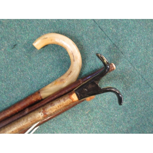 86 - Two walking stick shanks, 149cm, 93cm, knob stick, 143cm, shepherds crook 140cm, horn thumb stick 14... 