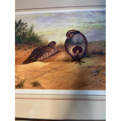 134 - Large print by T. Hutchinson 2003, pair of English Partridge on Heath 3/50 signed by artist 71cm x 5... 