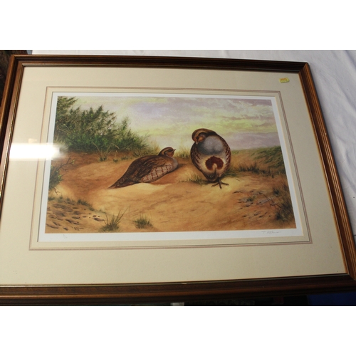 134 - Large print by T. Hutchinson 2003, pair of English Partridge on Heath 3/50 signed by artist 71cm x 5... 