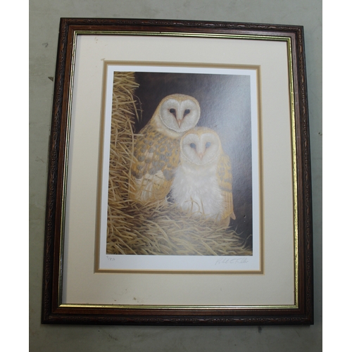 132 - Pair of prints by Robert Fuller. Curlew 24/850 signed by artist 40cm x 48cm, Pair of barn owls 9/850... 