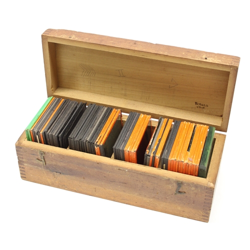 652 - Selection of early C20th glass magic lantern slides, predominately botanical (approx 60)