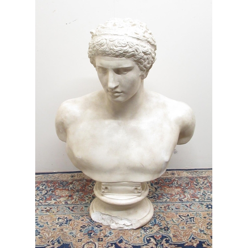 666 - C20th plaster head and shoulder bust of Hercules, on socle base, H82cm,