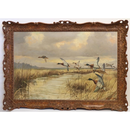 742 - Wilfrid Bailey (British C20th); Mallards in flight, oil on canvas, signed, 49cm x 75cm