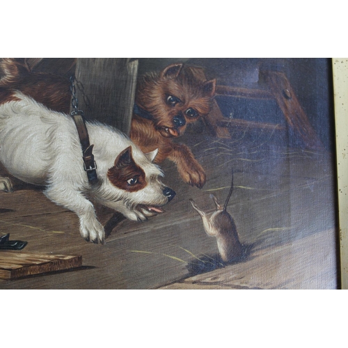 246 - English School (Late C19th); Two terriers ratting in a barn interior, oil on canvas, 29cm x 34.5cm