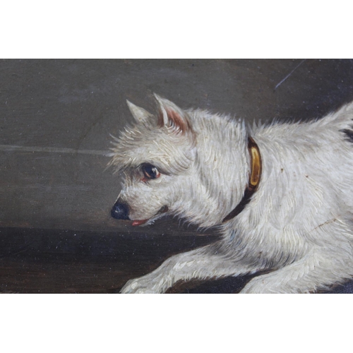 247 - English School (Late C19th); Terrier ratting in an interior, oil on board, 23cm x 30cm