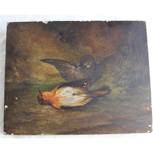 248 - H.B. Gray (British C19th); 'Who Killed Cock Robin' unframed oil on panel, inscribed verso, 27cm x 21... 