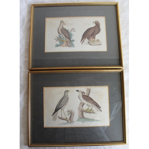 253 - Ornithological prints - set of six after Gould & Hart, four pub. by Geo Kearsley and three after Keu... 