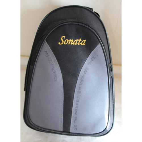 290 - Sonata four piece clarinet in zip carry case