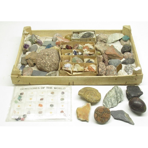 332 - Large collection of fossils, minerals and gemstones inc. Ammonite, Labradorite, Amethyst, Blue Lace ... 