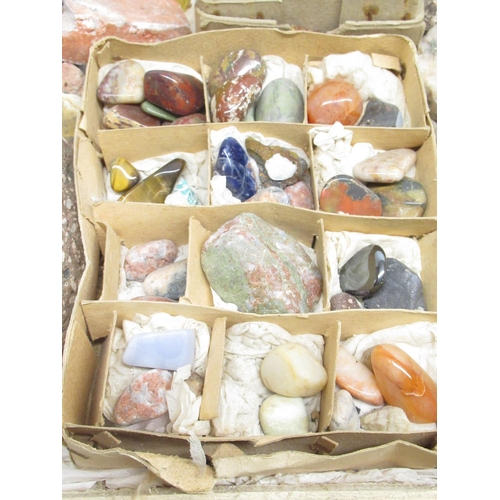 332 - Large collection of fossils, minerals and gemstones inc. Ammonite, Labradorite, Amethyst, Blue Lace ... 