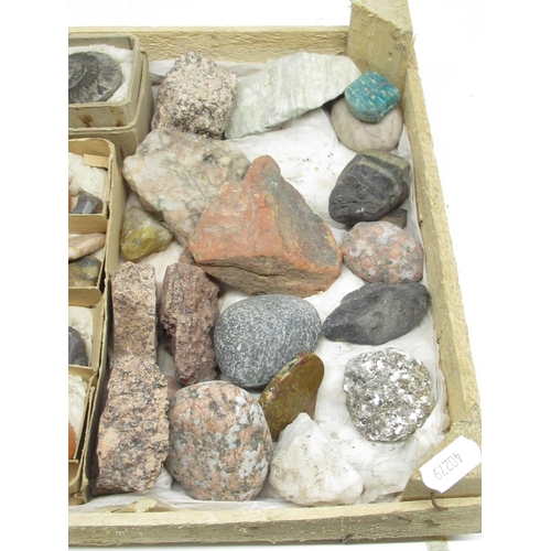 332 - Large collection of fossils, minerals and gemstones inc. Ammonite, Labradorite, Amethyst, Blue Lace ... 