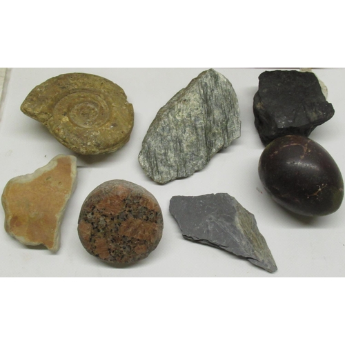 332 - Large collection of fossils, minerals and gemstones inc. Ammonite, Labradorite, Amethyst, Blue Lace ... 