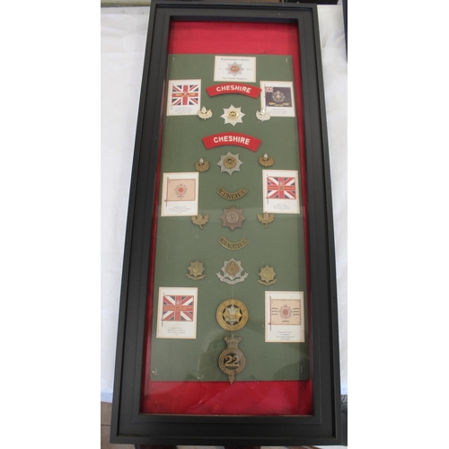 742 - Framed Regimental colours of the CHESHIRE REGIMENT. Including brass badges, cloth patches etc.