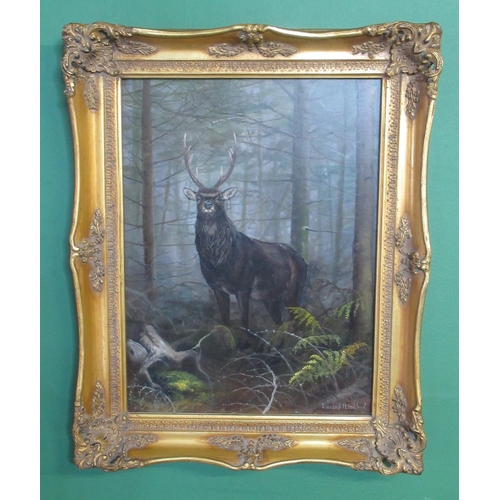 Elizabeth M Halstead (British C20th); 'Sika Stag', oil on board, signed, titled and inscribed 2000 verso, 39cm x 29cm