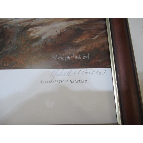 302 - Elizabeth M Halstead (British C20th); 'The Lonely Ones, Kinoch Hourn', ltd.ed. colour print, signed ... 