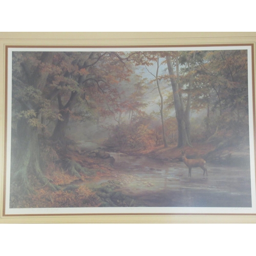 303 - Elizabeth M Halstead (British C20th); 'Woodland Stream', colour print, signed, titled and dedicated ... 