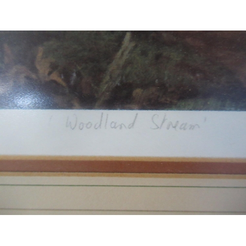 303 - Elizabeth M Halstead (British C20th); 'Woodland Stream', colour print, signed, titled and dedicated ... 