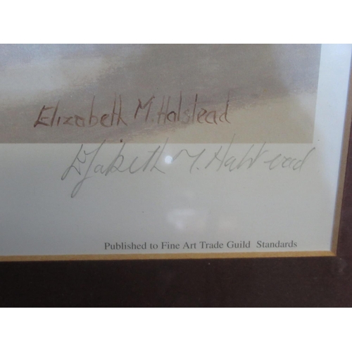 304 - Elizabeth M Halstead (British C20th); 'After The Fall', Artist Proof ltd.ed. colour print, signed, t... 