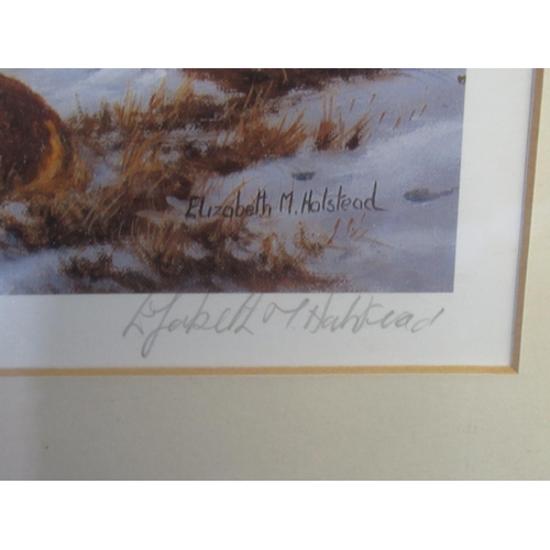 305 - Elizabeth M Halstead (British C20th); 'High Tops Torridon', ltd.ed. colour print, signed, titled and... 