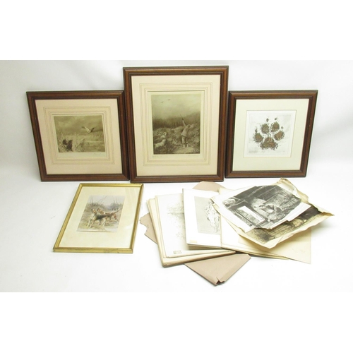 410 - Ward Binks - H.M. The King, Sandringham, signed print W21cm H26.6cm; Richard Binks - two Labradors a... 