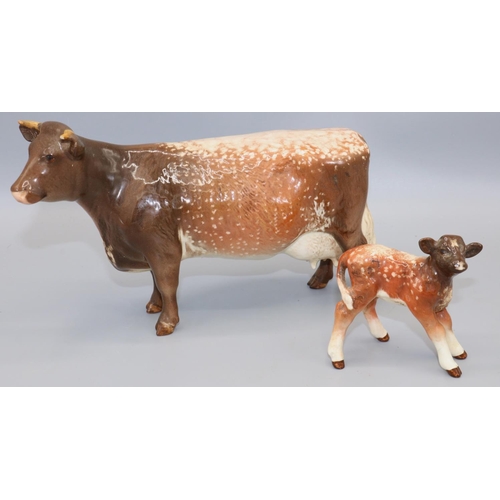 200 - Beswick Dairy Shorthorn Cow 'Ch. Eaton Wild Eyes 91st', model No. 1510, and a Dairy Shorthorn Calf N... 