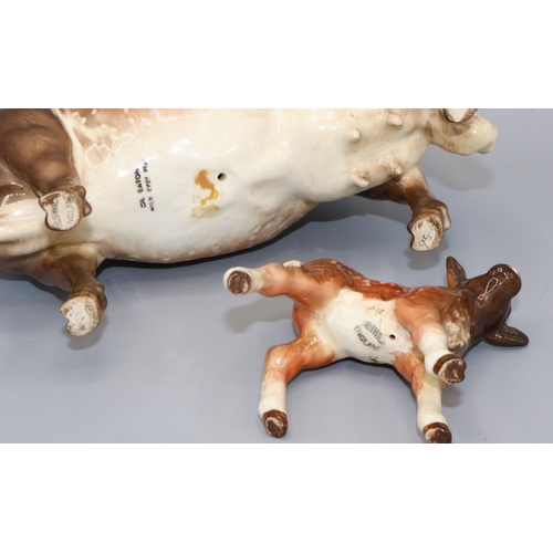 200 - Beswick Dairy Shorthorn Cow 'Ch. Eaton Wild Eyes 91st', model No. 1510, and a Dairy Shorthorn Calf N... 