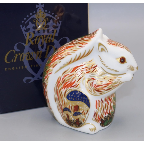 364 - Royal Crown Derby paperweight, Stoney Middleton Squirrel, John Sinclair exclusive, with box